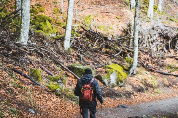 a person with a backpack walking on a path in the woods