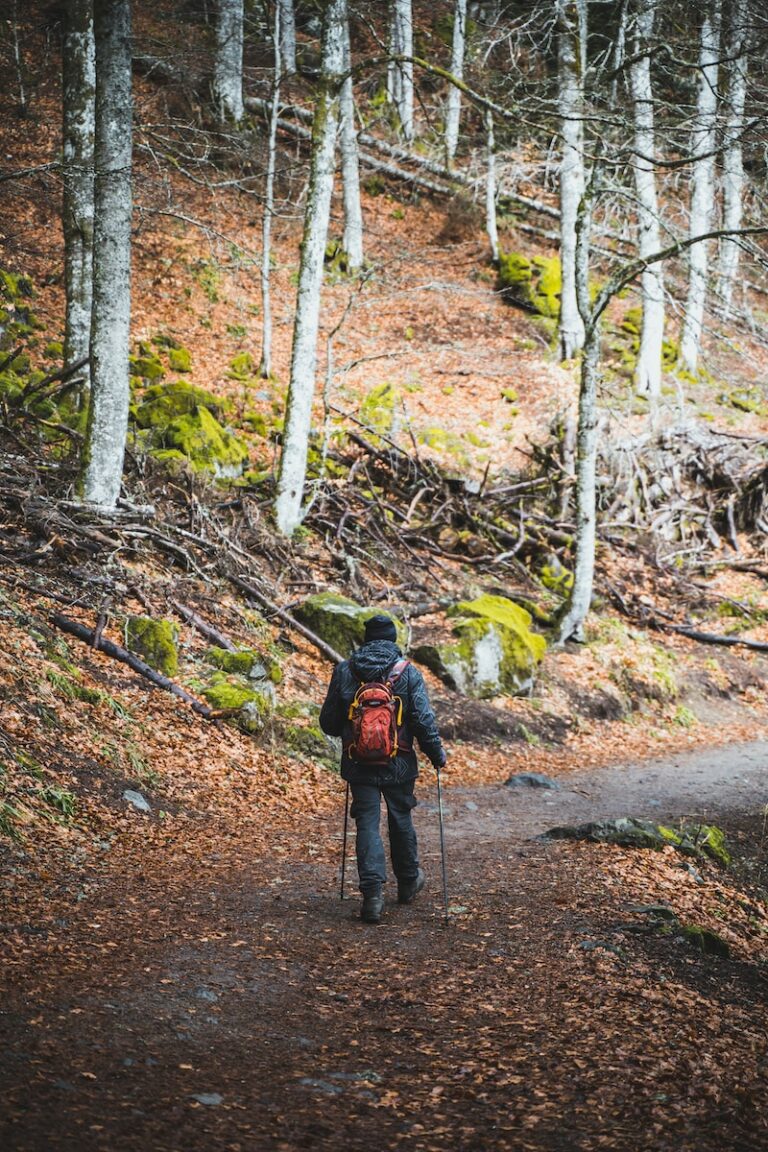 a person with a backpack walking on a path in the woods