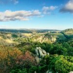 green mountains