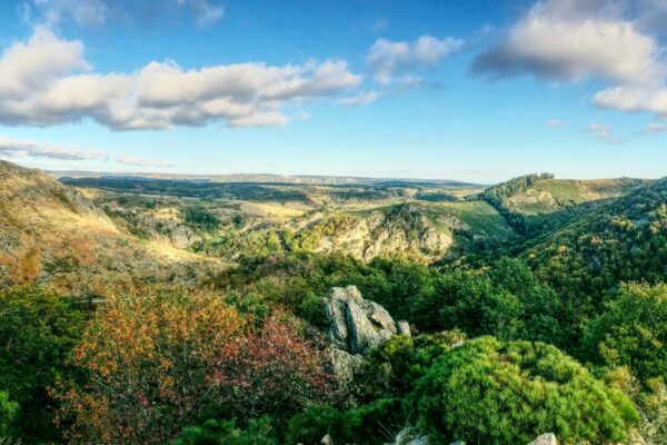 green mountains